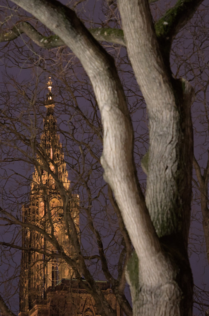 Bruno-Bianchi-Strasbourg-Nuit-0176.jpg